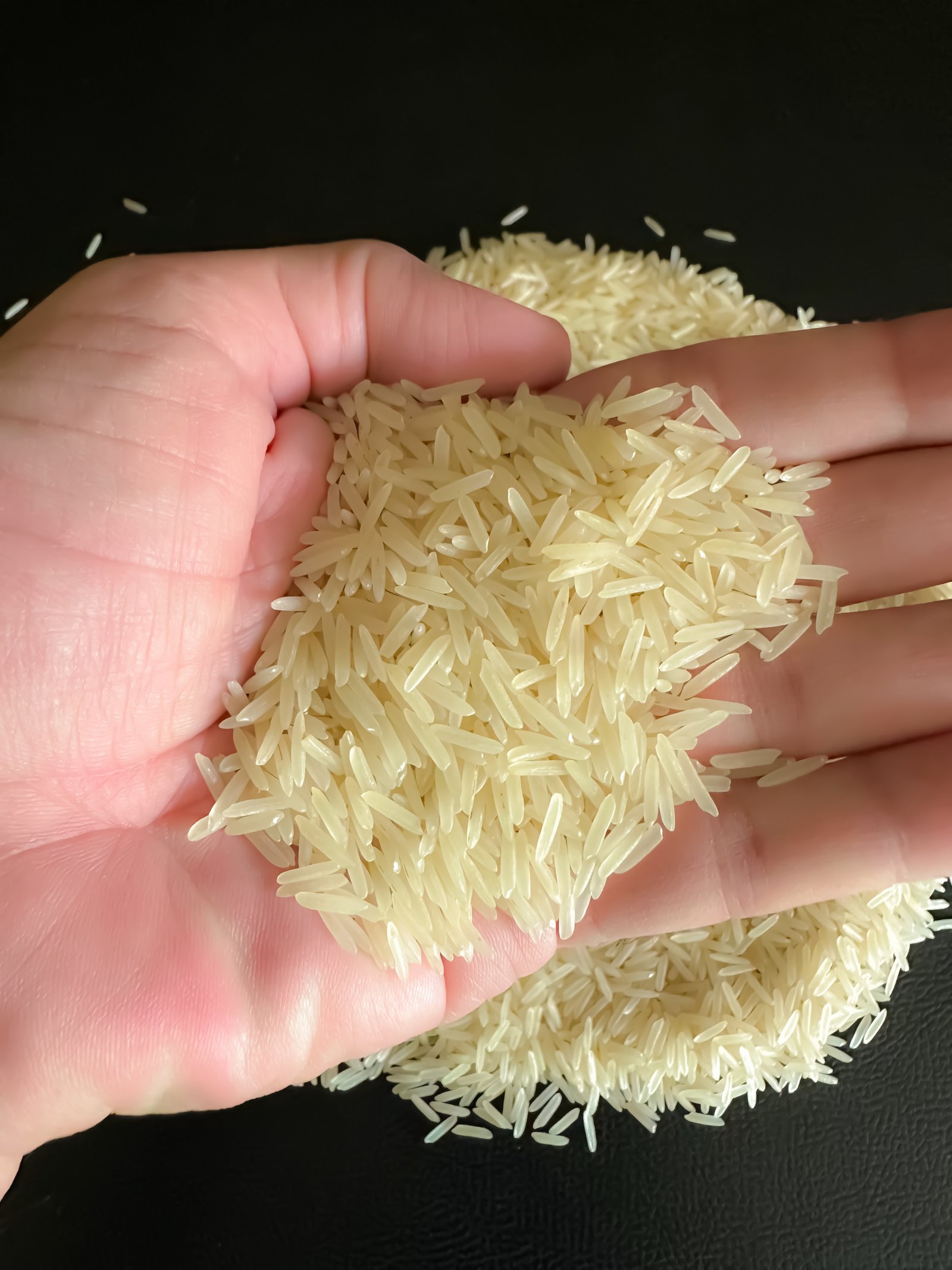 Premium Raw Basmati Sourcing